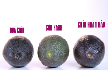Cách chọn, ăn bơ tốt nhất cho sức khỏe không phải ai cũng biết - Ảnh 2 Cach chon, an bo tot nhat cho suc khoe khong phai ai cung biet - Anh 2