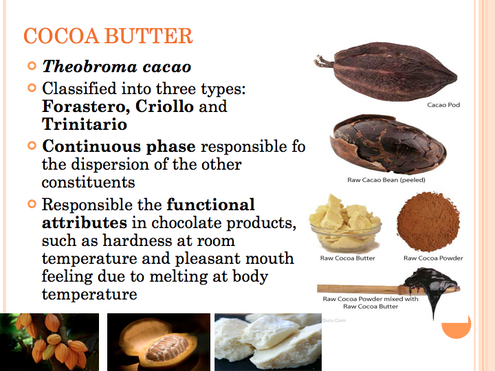 CACAO AND CHOCOLATE COCOA BUTTER CRYSTALLIZATION DURING THE CHOCOLATE