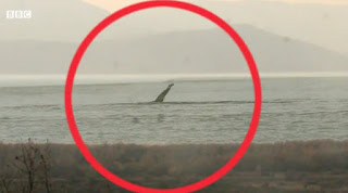 Το τέρας του Λόχνες στις Πρέσπες!  