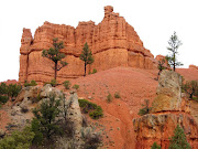 Bryce sits at a much higher elevation than nearby Zion National Park. (img )