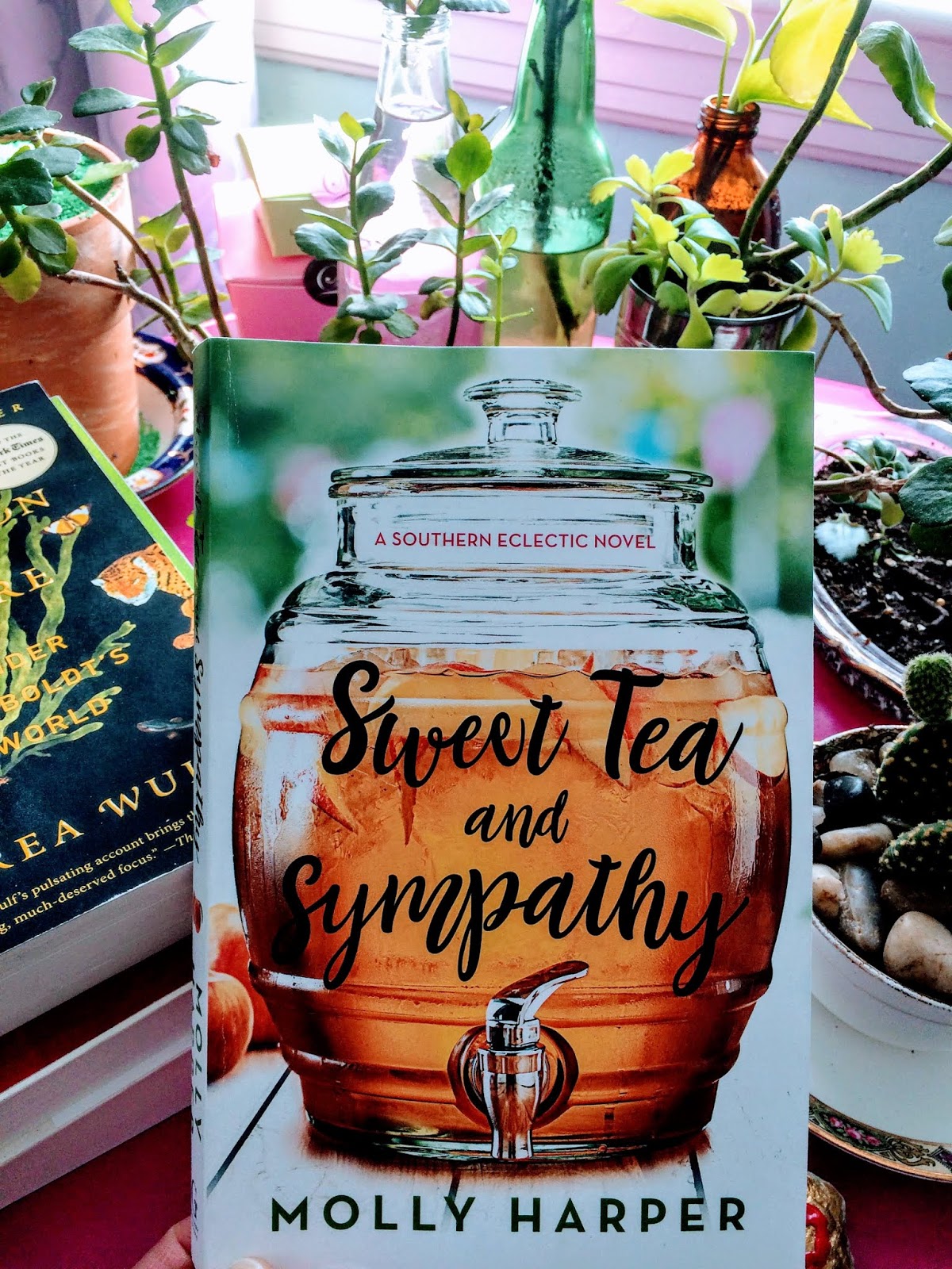 Sweet Tea and Sympathy Book Review
