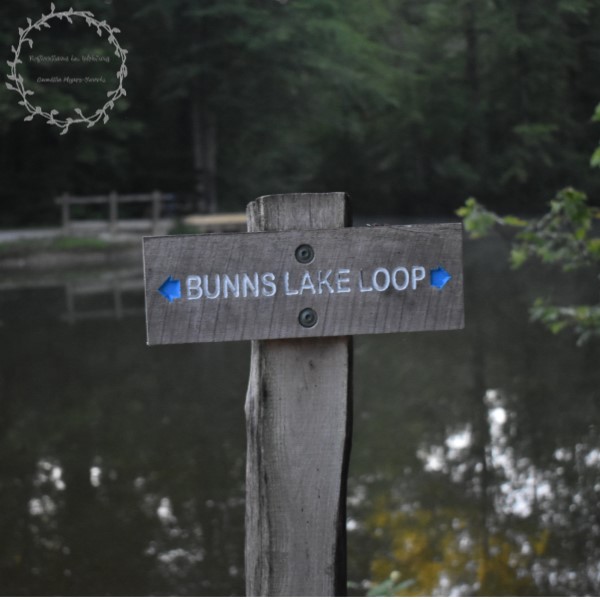 Bradley Woods Reservation (Learning Aperture)