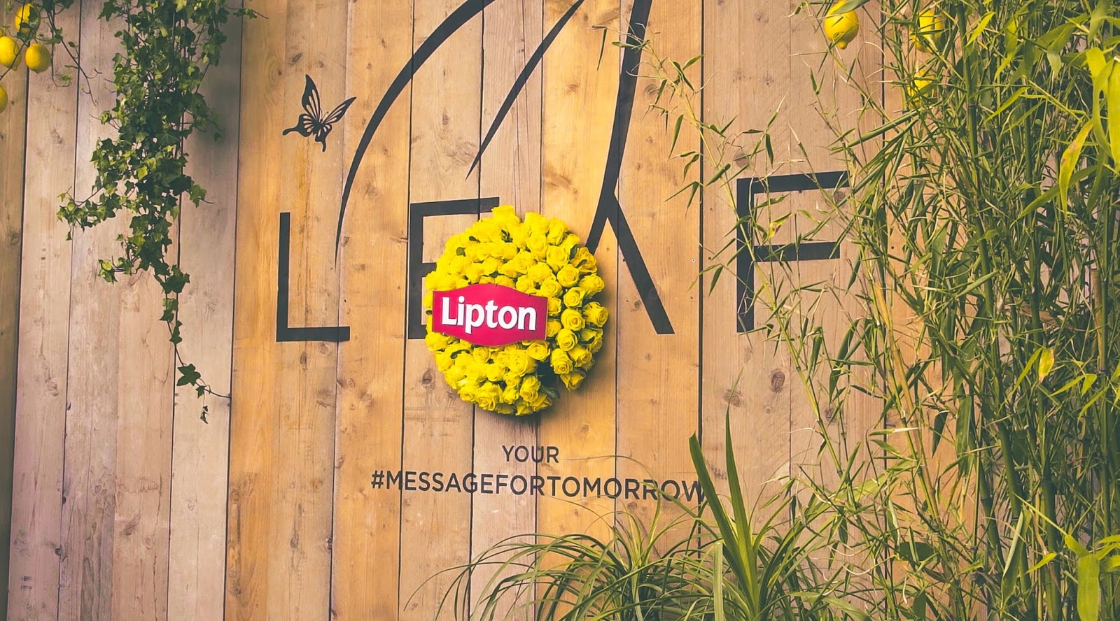 Mega Bacau Gasca Lipton Ice Tea a dat verdelamuzica la Tomorrowland