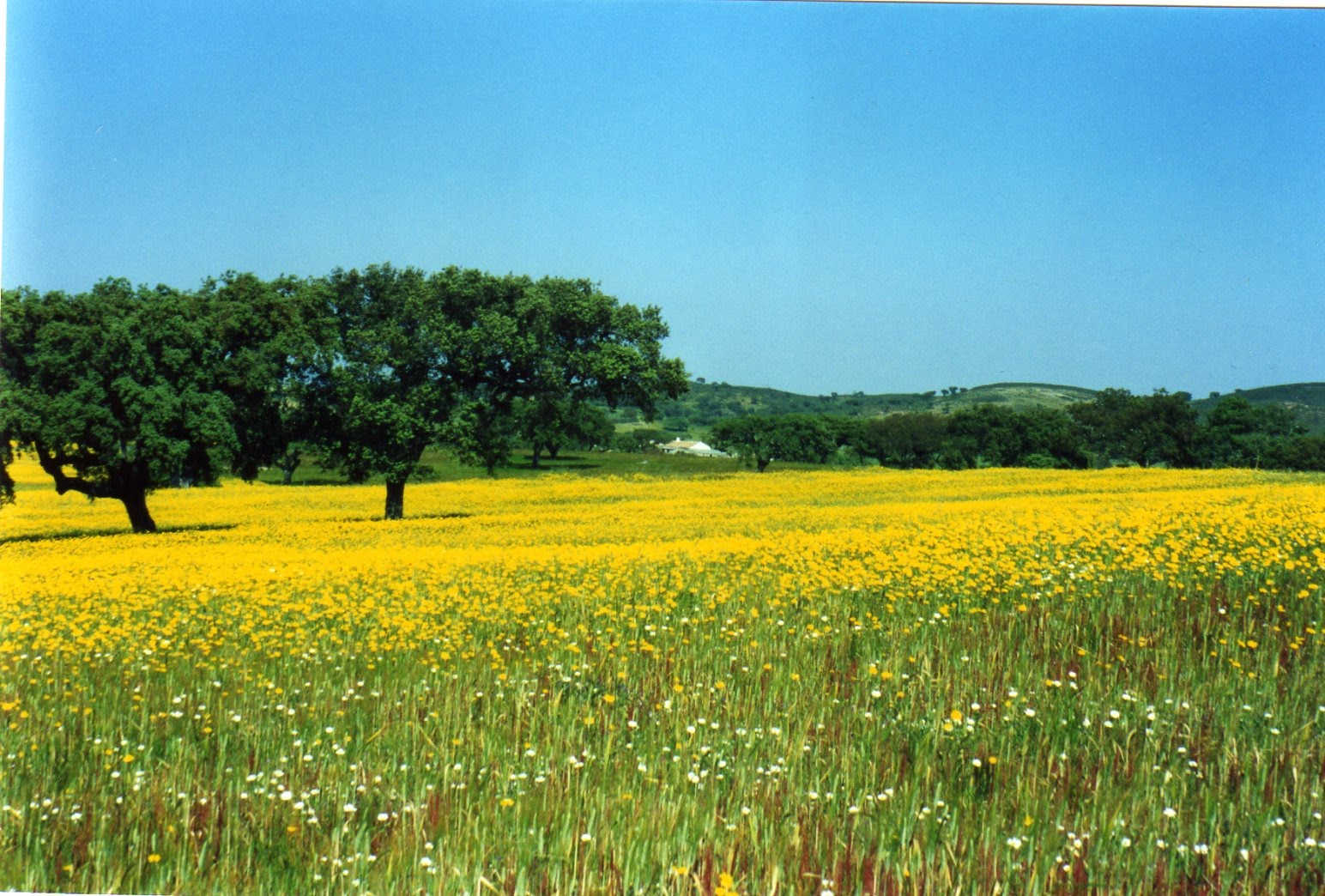 21h21m: Primavera em Portugal