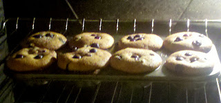 White whole weat blueberry muffins backing in oven