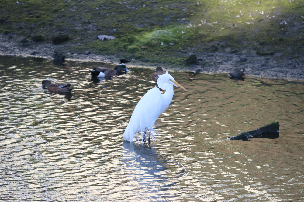 Los Angeles - Venice Beach ja Santa Monica 19 Los Angeles - Venice Beach ja Santa Monica 18