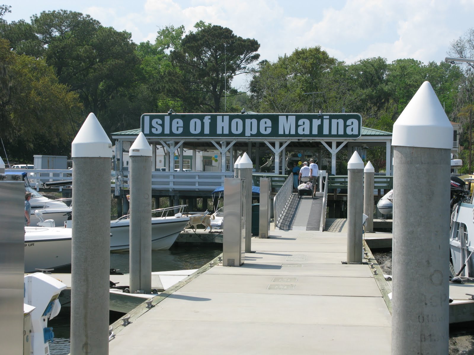 Life with Sweet Pea Isle of Hope