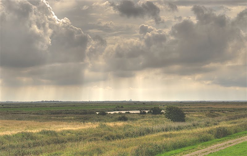 Himlen over marsken: