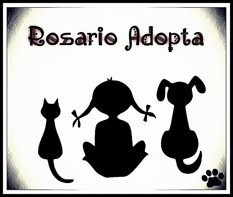 Rosario Adopta