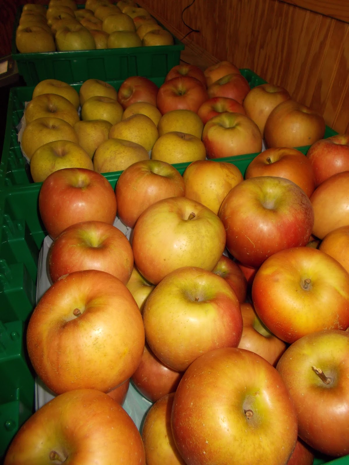 Brenda's Berries & Orchards 'GoldRush' & 'Enterprise' Apples & 'Kanza