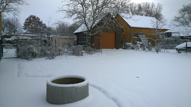 Landgarten im Januar (c) by Joachim Wenk Landgarten im Januar (c) by Joachim Wenk