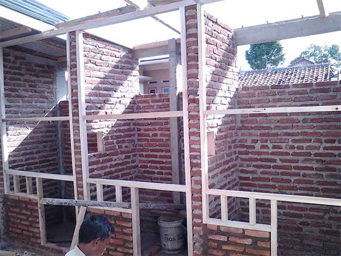 Murai Batu 10 Cara Ternak Murai Batu Untuk Pemula Yang Wajib