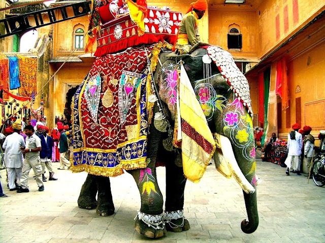 Festival del Elefante en Jaipur Paquidermo