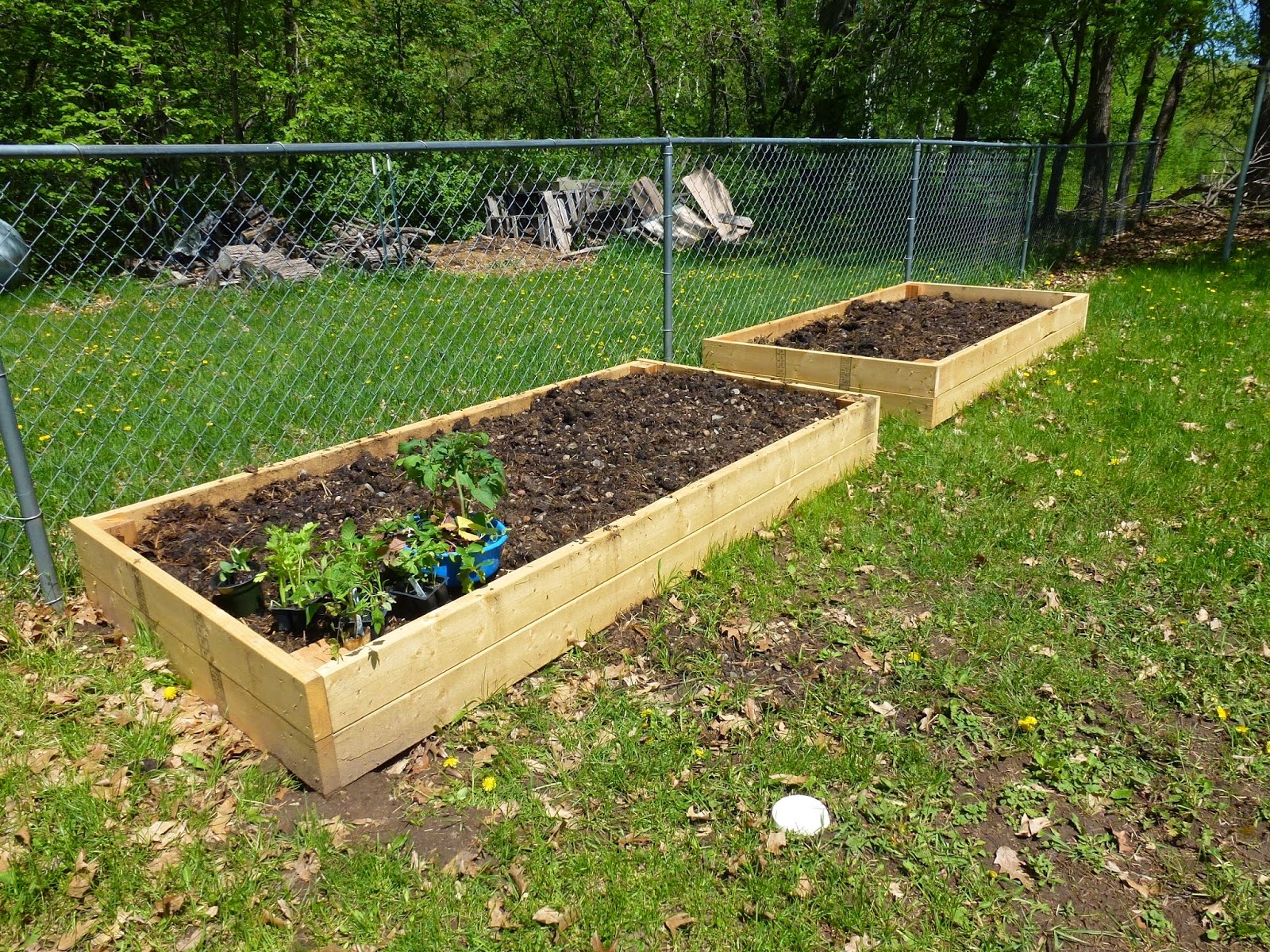 Becky Utecht Felt & Fiber Morels, Raised Beds, Ducks, Goat milk Soap