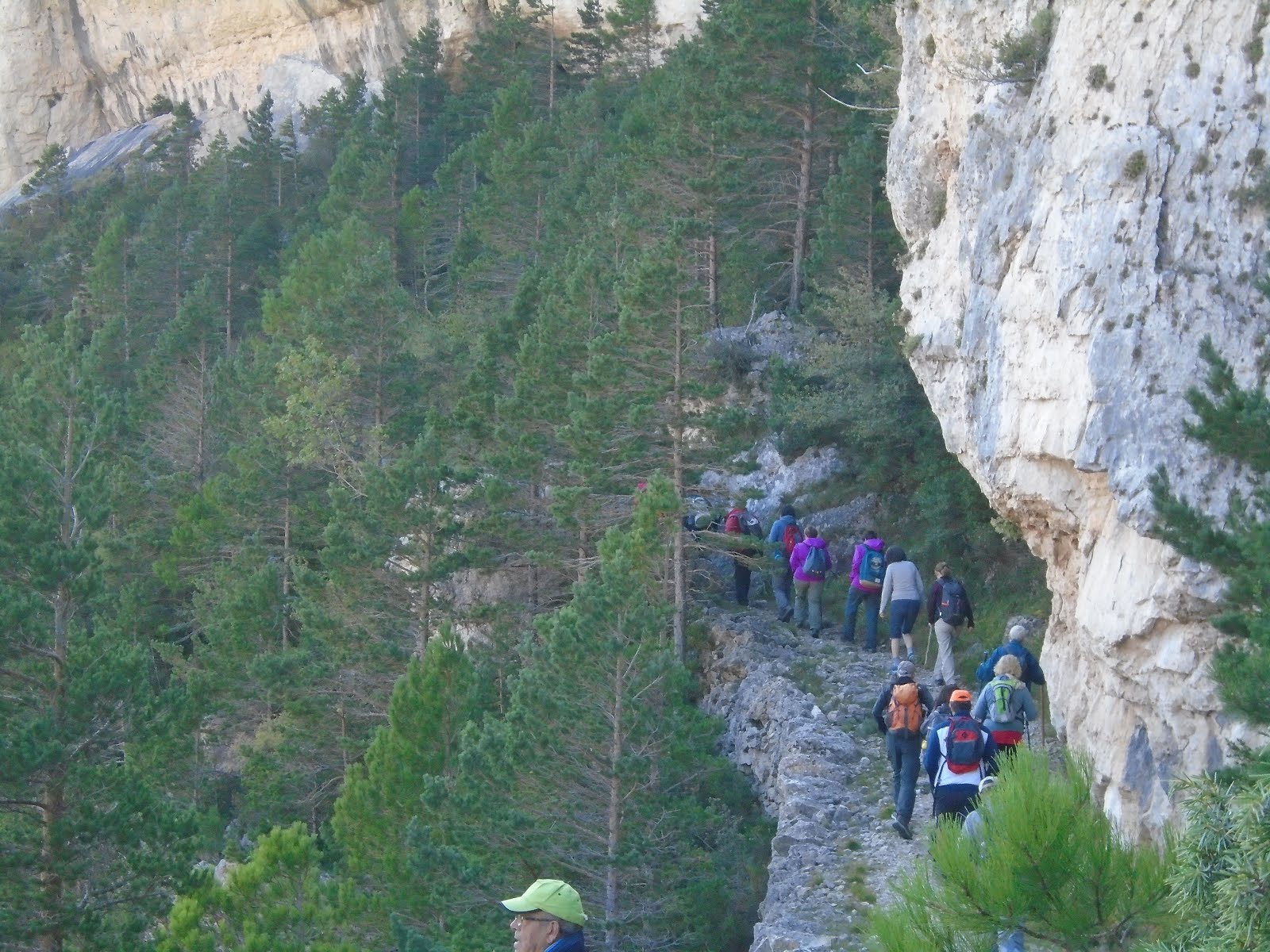 La Tinença de Benifassà