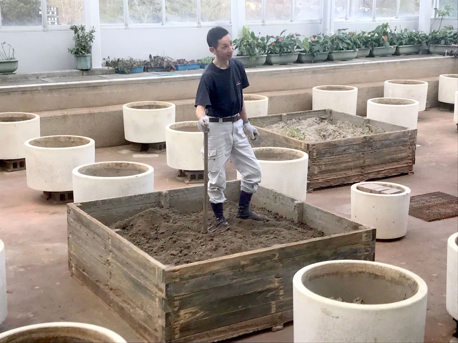 広島市植物公園ブログ 熱帯スイレン温室の現況 1 21