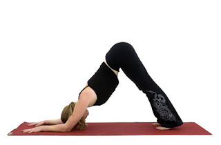 Những tư thế Yoga tác động đến toàn cơ thể, giúp bạn giải phóng lượng mỡ thừa hiệu quả Những tư thế Yoga tác động đến toàn cơ thể, giúp bạn giải phóng lượng mỡ thừa hiệu quả