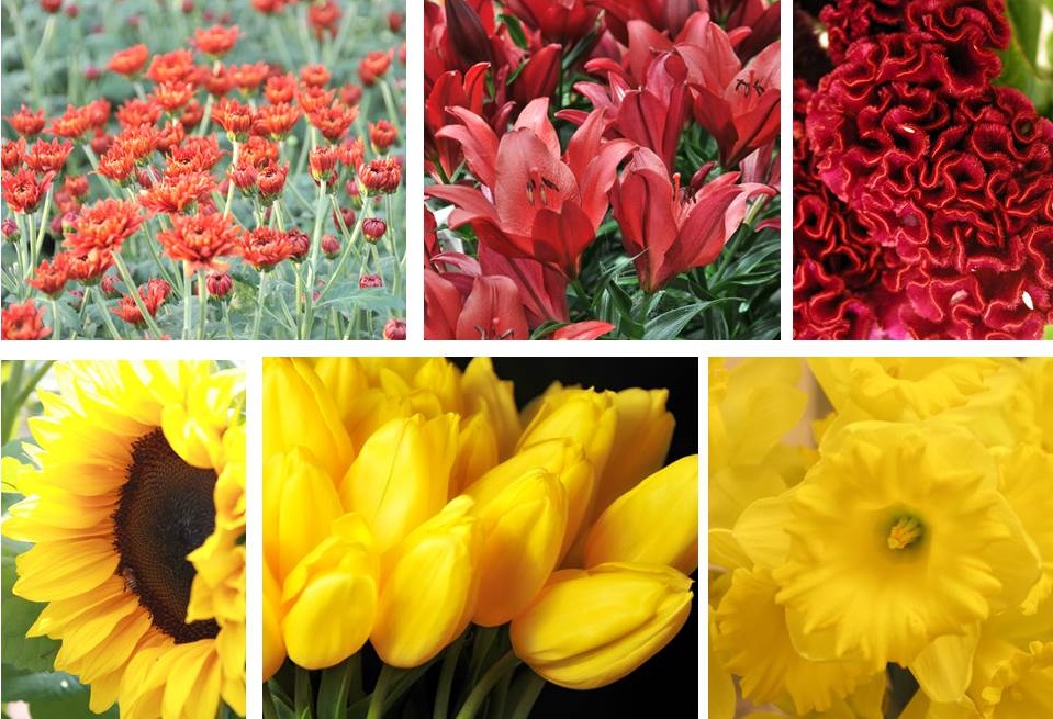 Chinese New Year Traditions | Sun Valley