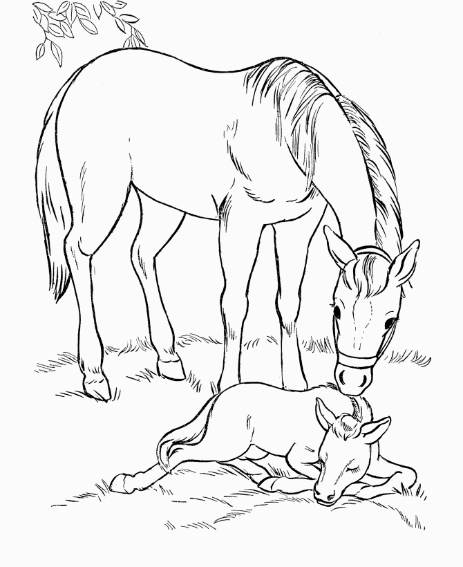 Great Horse Coloring Pages Online | New Coloring Pages