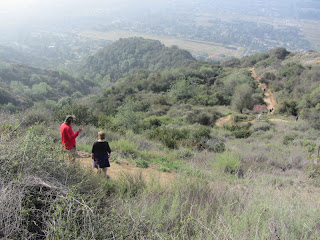 View south from Garcia Trail