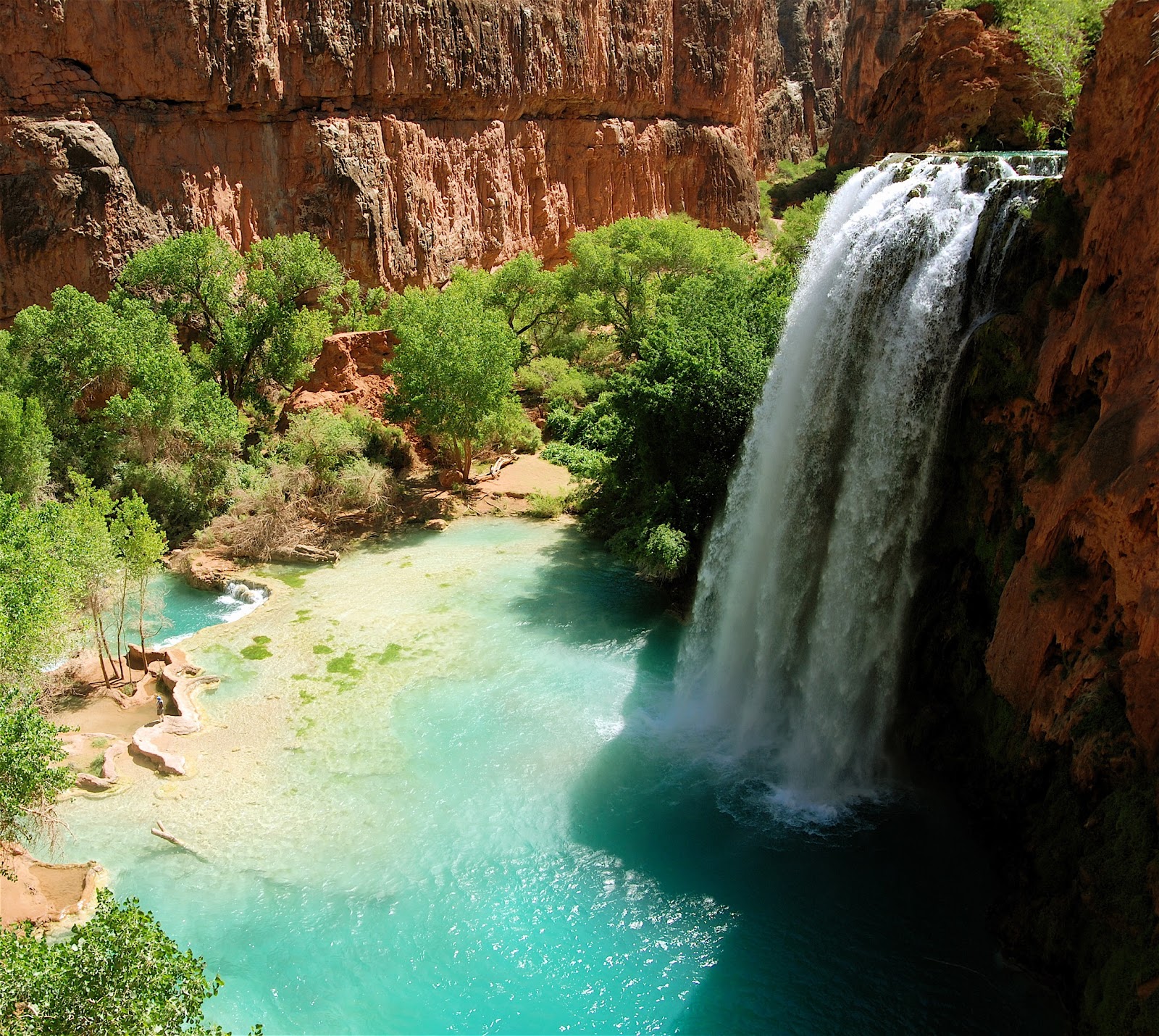Havasu Falls Havasu Falls
