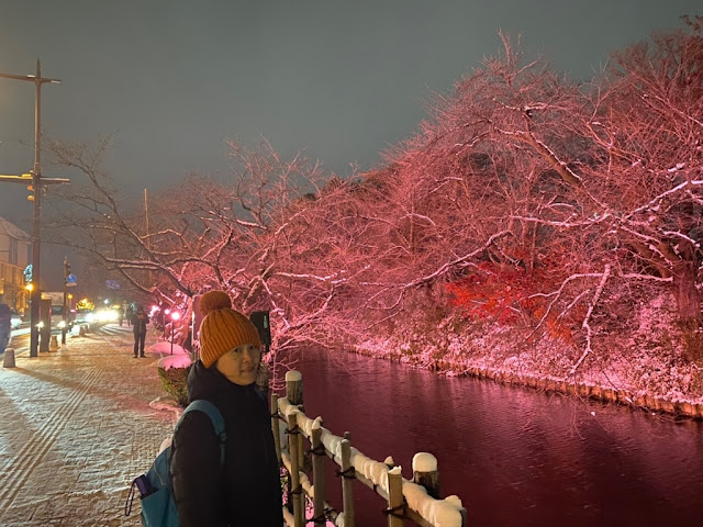 弘前城公園賞夜櫻(雪)