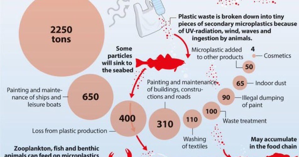 SHER IAS ACADEMY GK Understanding how Microplastics threaten Oceanic
