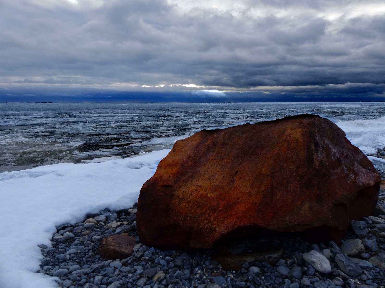 Ten Million Earthlings Naturescape Amherst Island