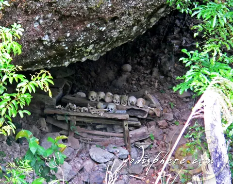 One of the burial caves in Kabayan showing human skulls and bones