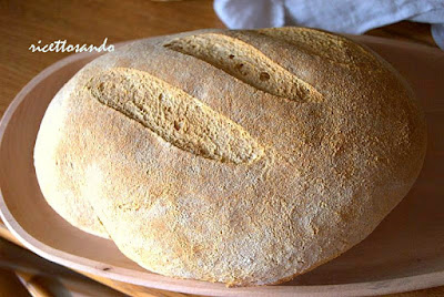 pane giallo con lievito madre