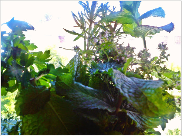 Lado A versus (?) Lado B