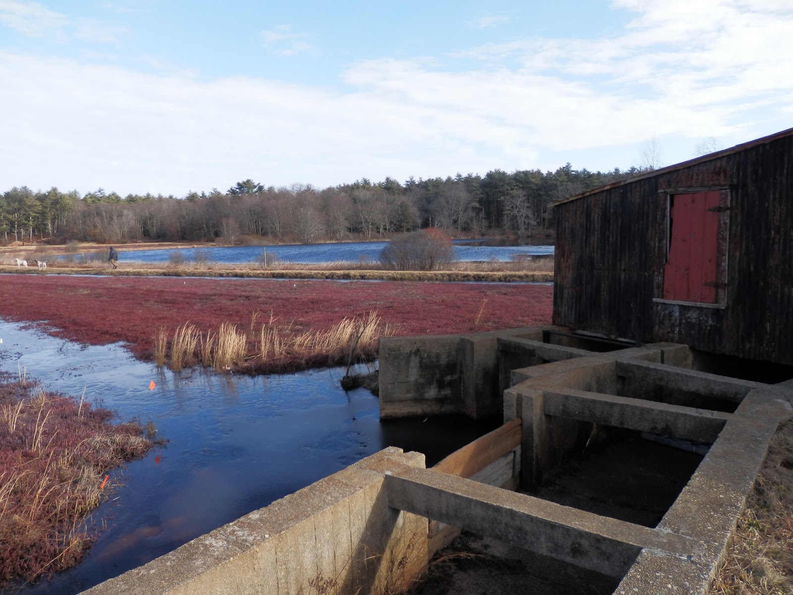 Hike Plymouth and Beyond! Duxbury Round Pond Conservation Area