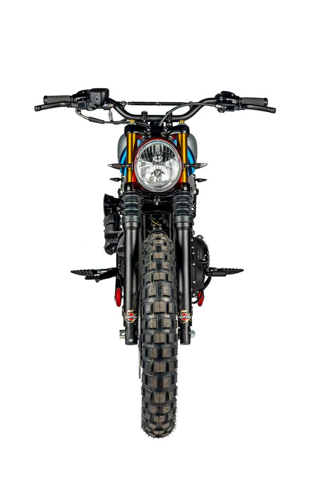 harley martini racing