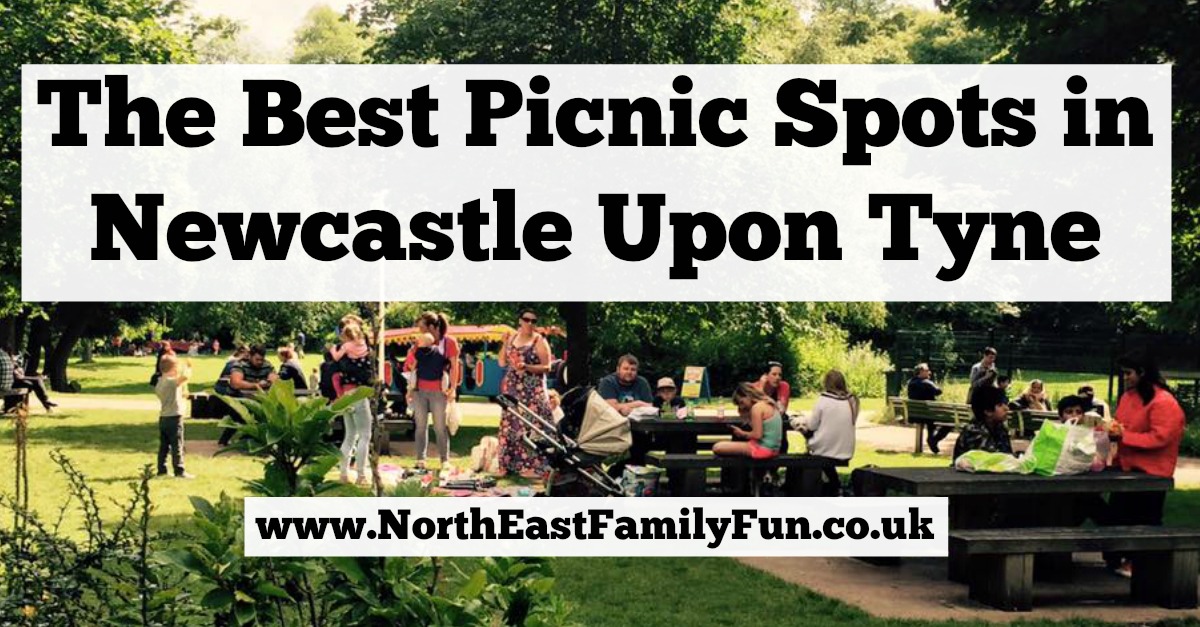 The Best Picnic Spots in Newcastle Upon Tyne North East Family Fun