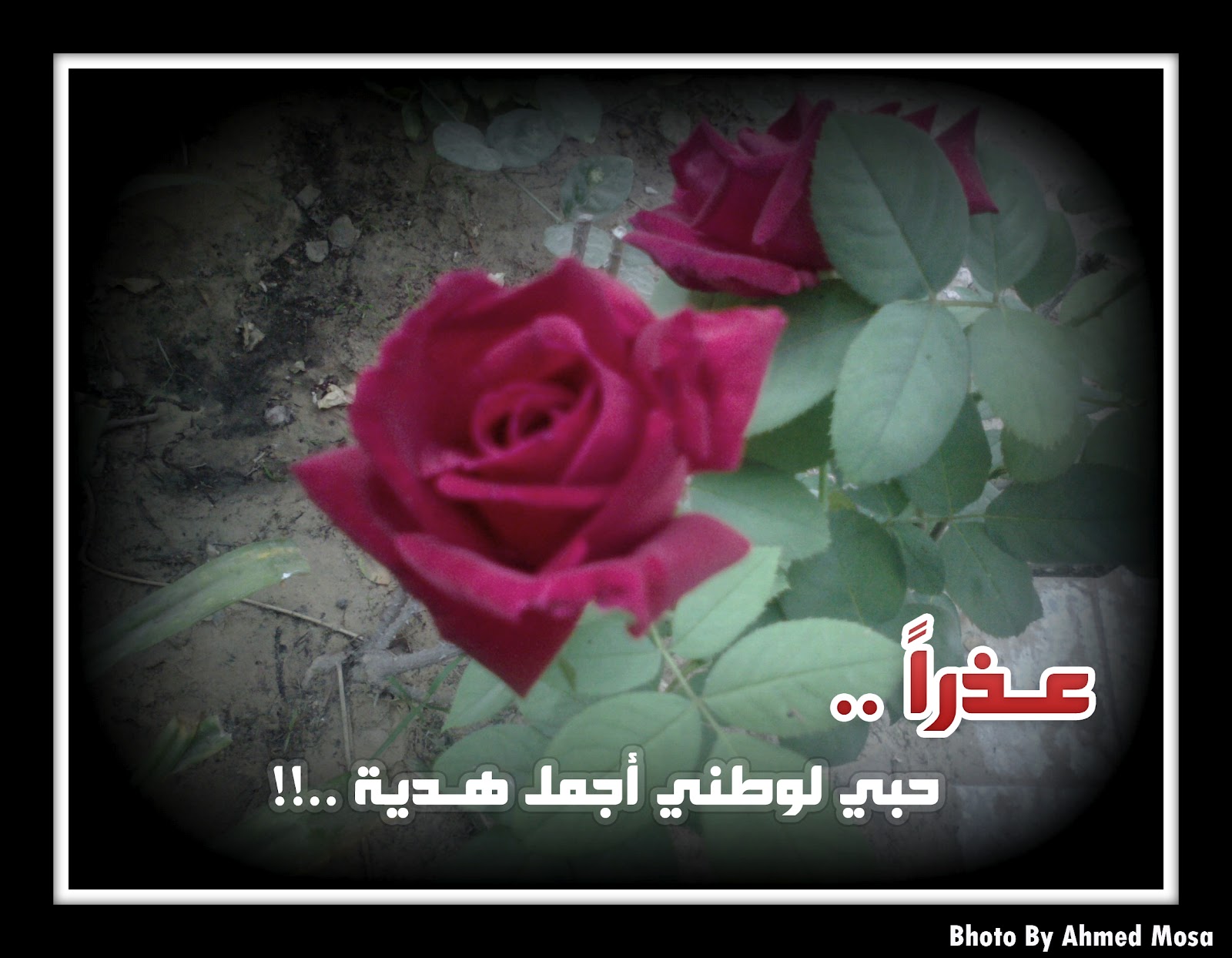 ويبقى الآمل .. انتهت كل الكلمآت في صورة .. عذراً عيد