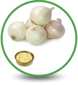 Manufacturers of Dehydrated White Onions Products