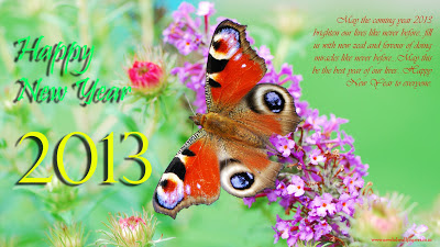 Happy new year 2016 beautiful hd wallpapers pictures Happy New Year Photo:Computer Wallpaper | Free Wallpaper Downloads