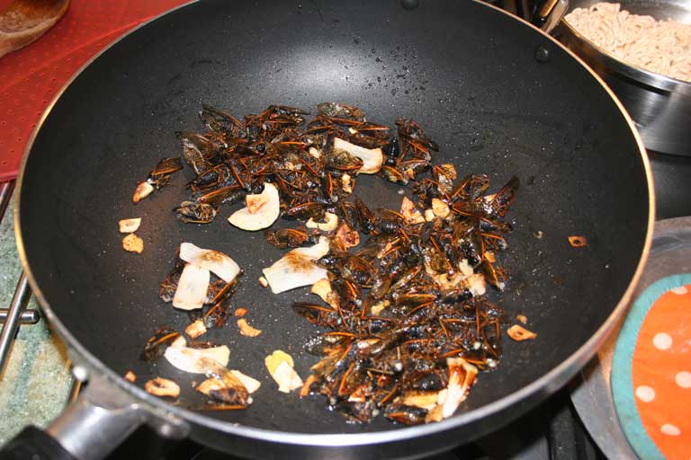 Ozarks Gardening: Cicadas, What's That Noise?