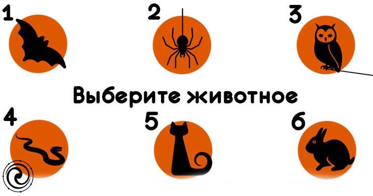 выбрать всех животных. выбери животное и узнай о себе. тест выбери животное. психологический тест выбор животного. выбери животного.