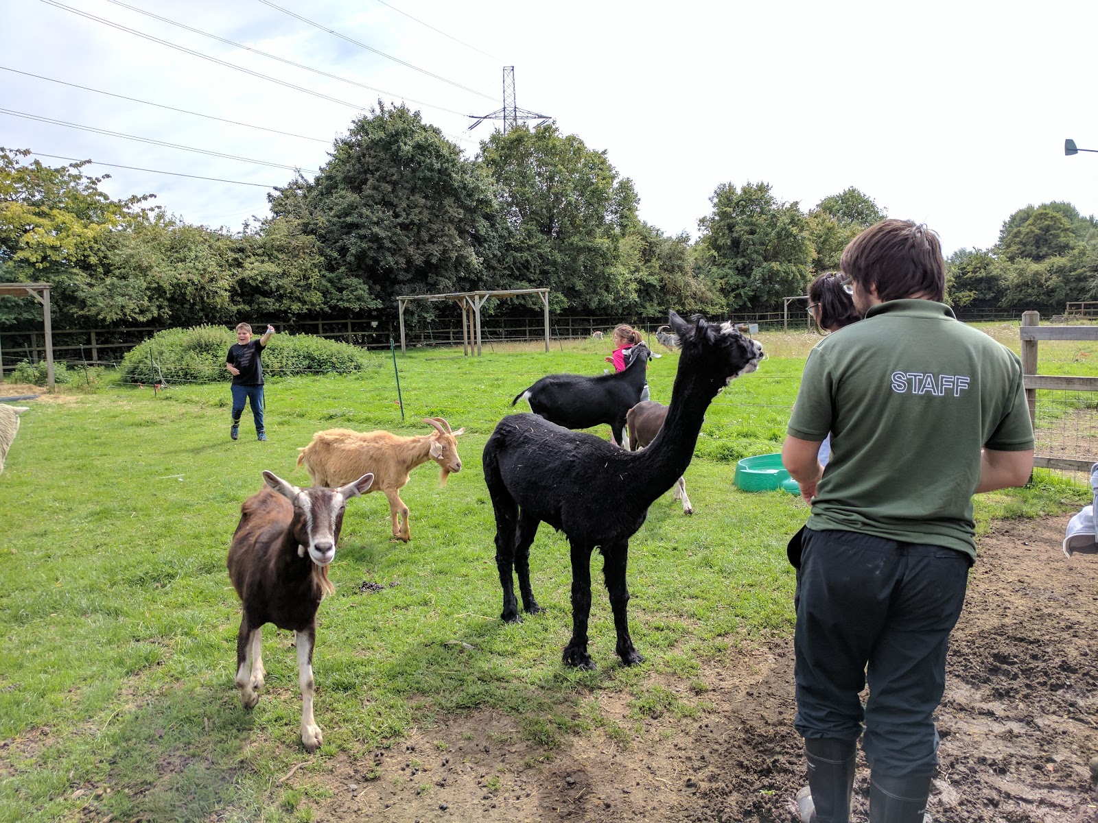 JibberJabberUK Deen City Farm