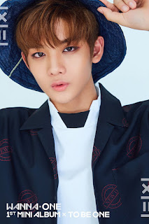 Bae Jin Young Wanna one - undilife.gq