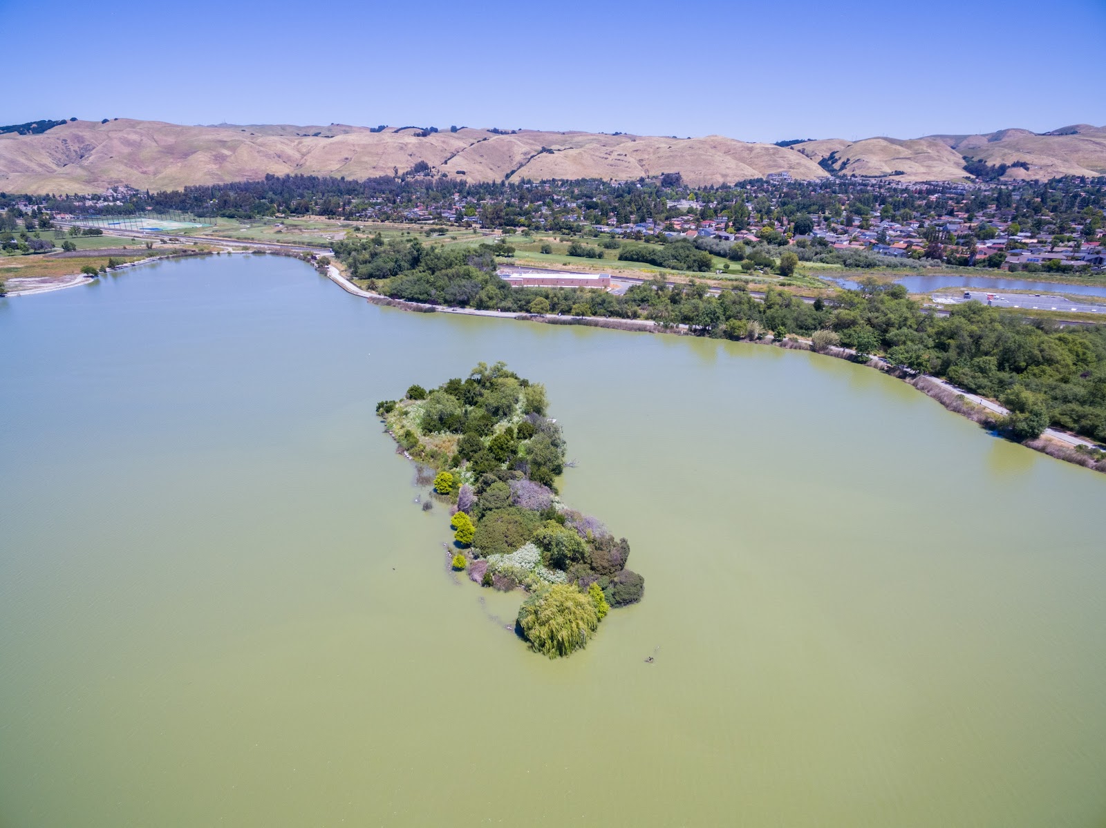 Naturetastic Blog Fremont Central Park (Aerial Photography) Fremont, CA