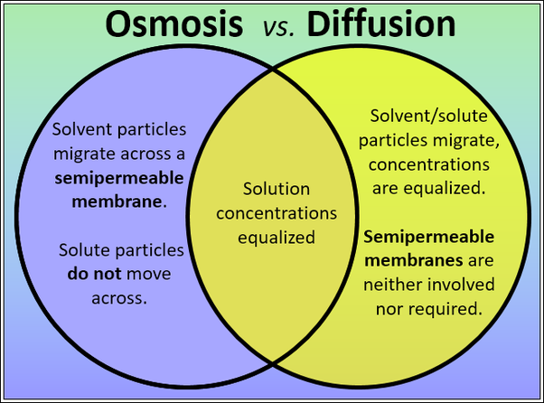 grade 9 sem 1 chapter3movement of substances in and out create a venn diagram comparing osmosis and diffusion
