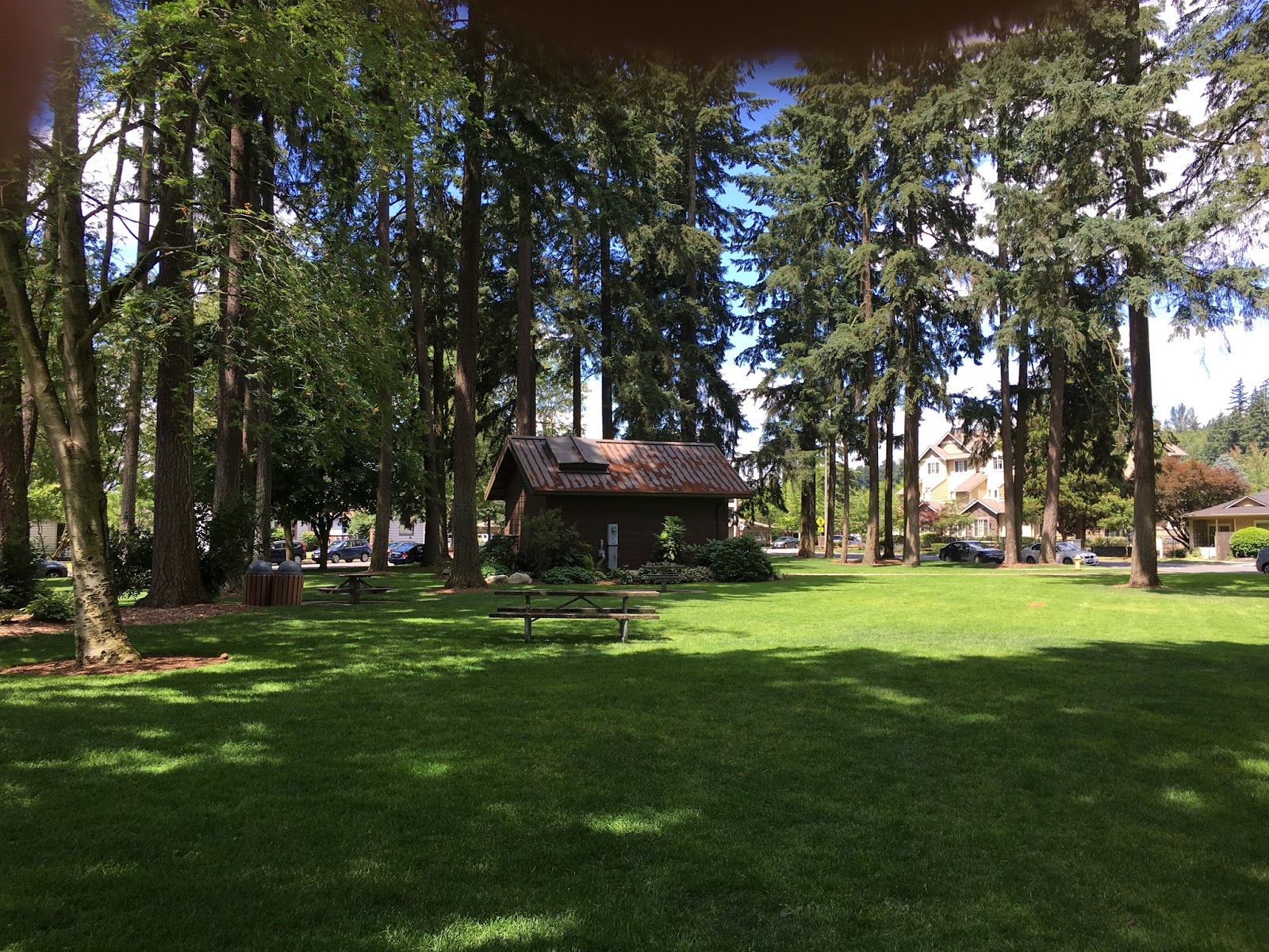 Redmond Neighborhood Blog Most of the trees in Redmond's oldest city park are saved for a price