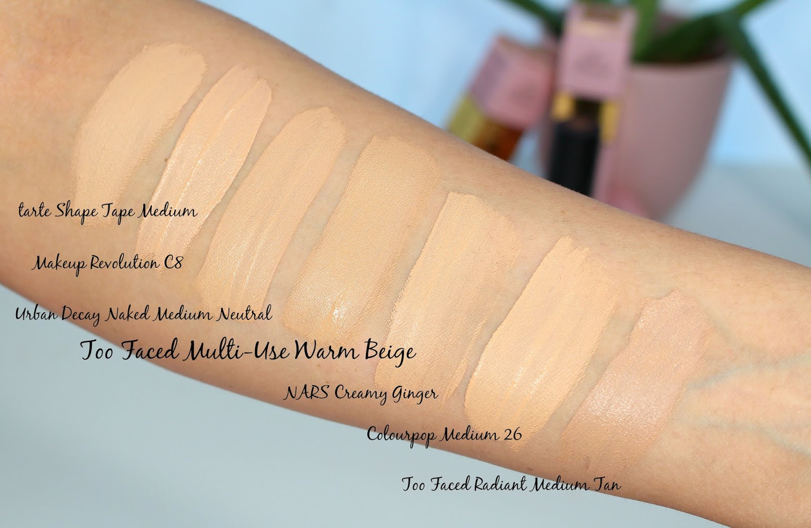 Samantha Jane: Faced Born This Way Multi-Use Concealer Shade Match