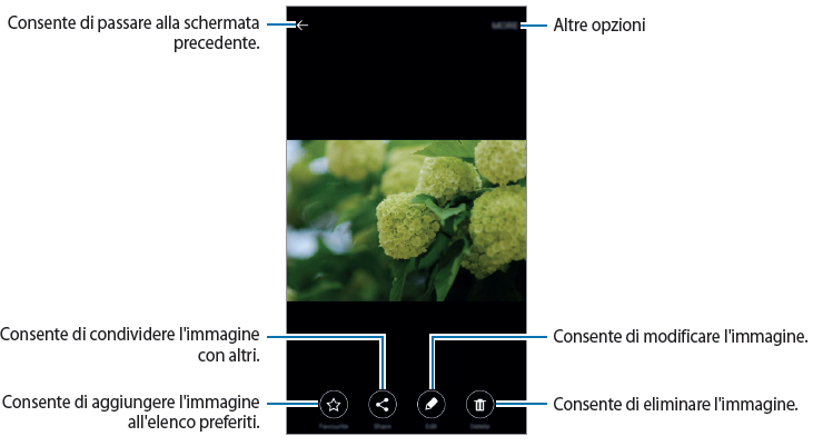 Condividere foto e video con Zenfone 3 Laser