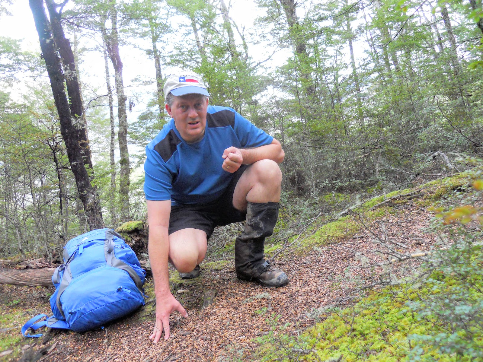 Tramping in the New Zealand backcountry NZ Bush Adventures My