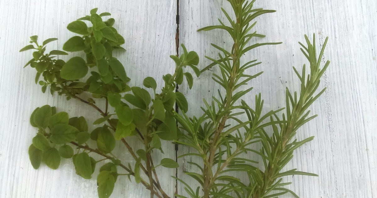 How to Root Herbs the Organic Way Plus DIY Bouquet Garni My Thrift