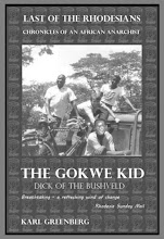 The Gokwe Kid - Paperback 1 + 2