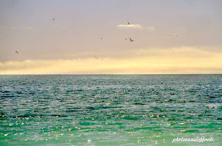 Water and sky photo